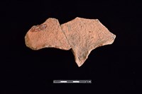 藏品(連杯形器)的圖片